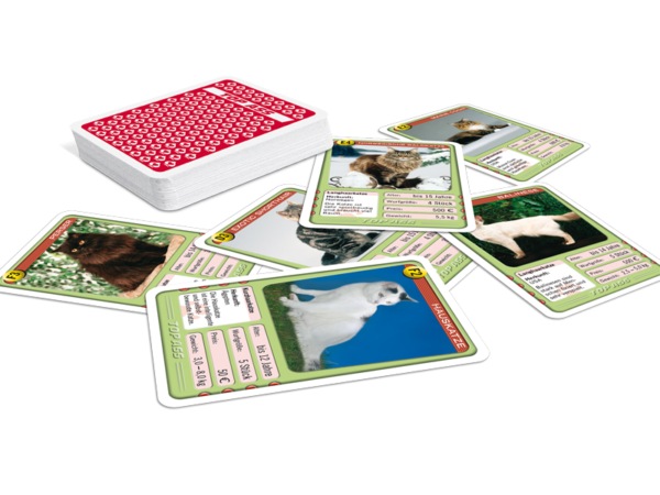 Quartett, Katzen TopAss – Bild 3