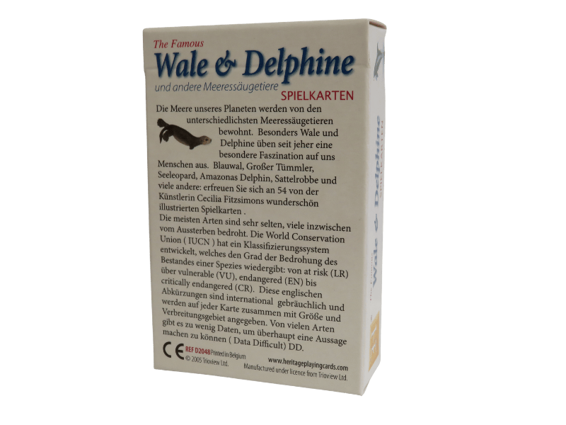 Bridge, Wale und Delphine und andere Meeressäugetiere – Bild 2